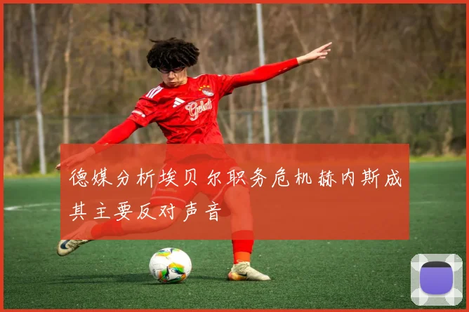 德媒分析埃贝尔职务危机赫内斯成其主要反对声音