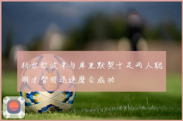 科尔称波津与库里默契十足两人聪明才智将迅速磨合成功