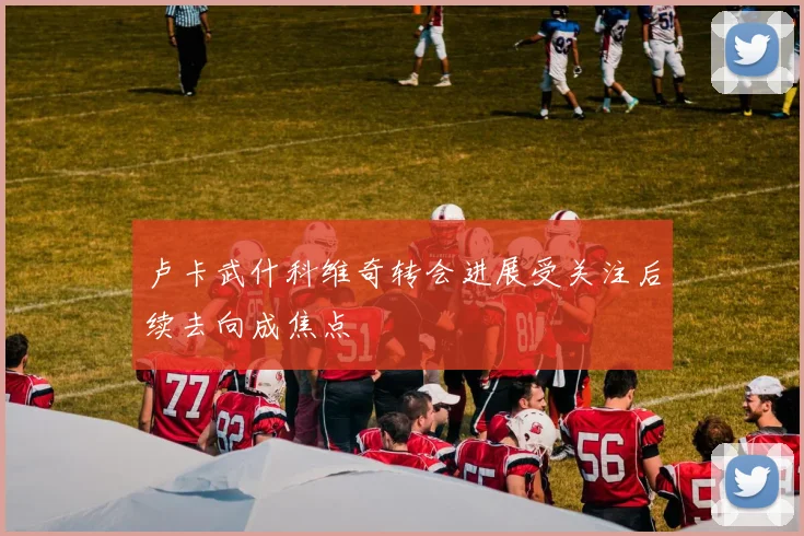 卢卡武什科维奇转会进展受关注后续去向成焦点